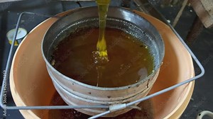 Fresh organic honey flows in a thick stream through a sieve into a bucket for further consumption. The process of extracting honey. Honey farm. Honey from buckwheat and sunflower.