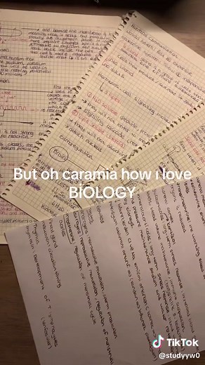 Explore the Fascinating World of Biology: Study Tips, Medicine, and Math