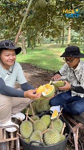 2.2K reactions · 119 shares | ធ្លាប់ឈឺចិត្តណាស់រឿងទិញទុរេនខុសនឹង‍↔️...