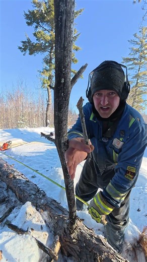 The Stick TRICK for Cutting Logs 🌲🪵