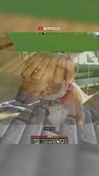 house speedrun #shorts #minecraft