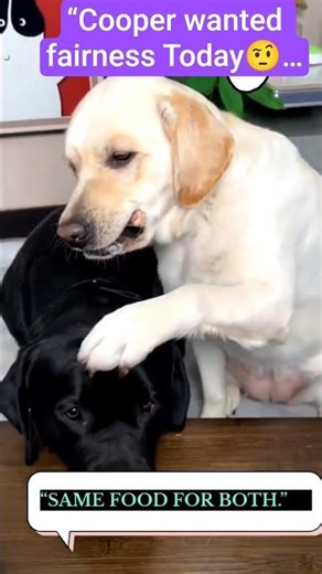 “Cooper Asked for Equality…