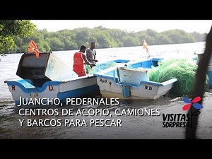 Juancho, Pedernales, centros de acopio camiones y barcos para pescar