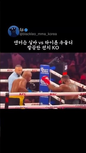 앤더슨 실바와 타이론 우들리 복싱 경기 깔끔한 KO