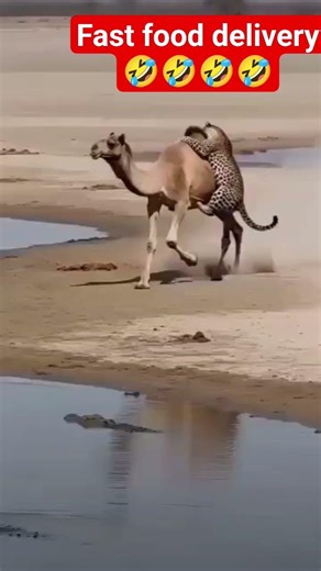 fast food delivery 😋 #friends