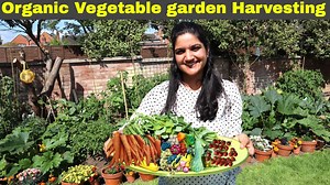 14K views · 235 reactions | Our vegetable garden harvesting video of...