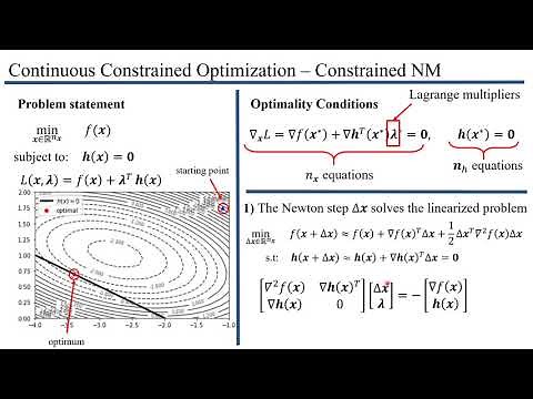 Newton's Method for constrained optimization problems
