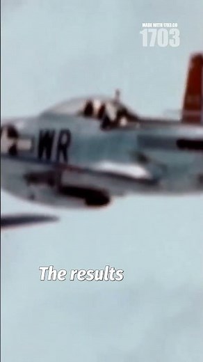 Red Tails: The Unsung Heroes of WWII Skies