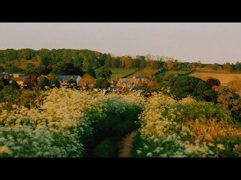 a playlist for quiet moments spent with a book in a peaceful nook