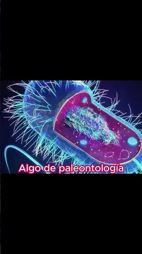 El origen de los organismos pluricelulares