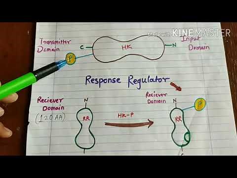Two-Component Signaling Systems