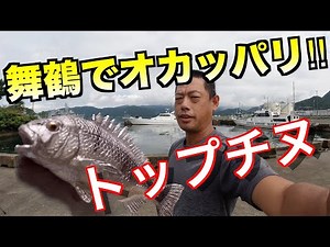 日本海で初の黒鯛釣りました。東舞鶴港 チヌトップ トップウォーター