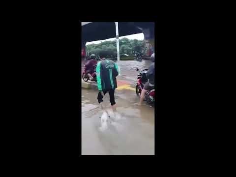 Falling into the Hole#funnyclipsmoments