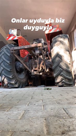 Tariminboylesi on Reels