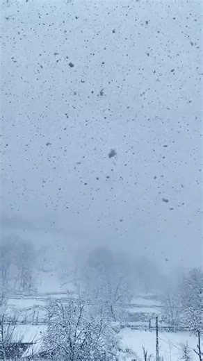 numra baloch (@numra519)’s videos with original sound - BOOS ZAIB