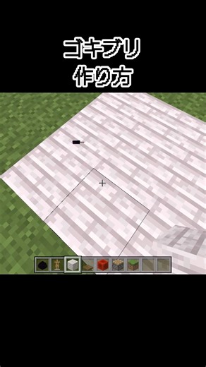 【マイクラ】ゴキブリの作り方#minecraft