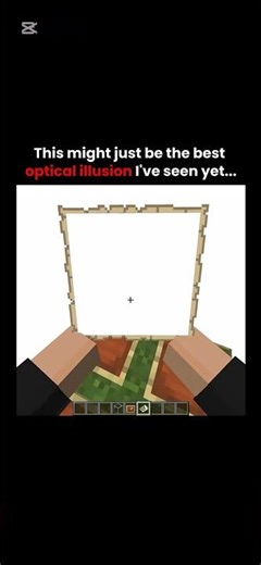 #invincible The most interesting optical illusion in Minecraft Tutorial