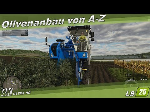 FS25 / FS25 🚜 Tutorial 🌱 Olive cultivation from A-Z - 4K