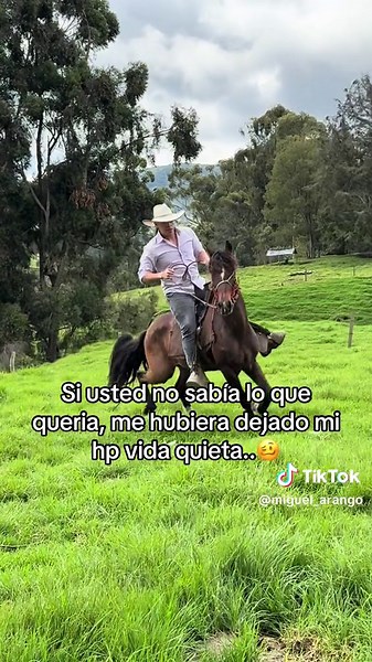 Miguel Arango on TikTok