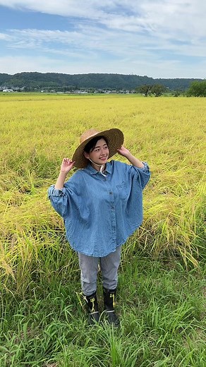稲刈り前に舞う！ゆうなの元気なパフォーマンス