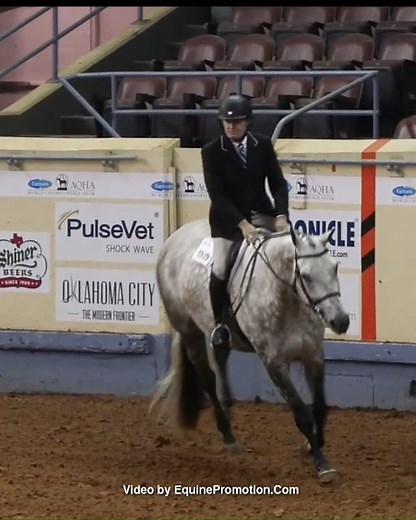 🏆 #WorldShowWednesday 🏆 Strutin To The Blues and AQHA Professional Horseman Chuck Briggs got a gold globe for owner Rodger Call in senior hunter hack at the 2022 Farnam AQHAWorld Championship Show Did you know there are 3 Ways to Qualify for the 2023 Farnam #AQHAWorldShow? Qualifying ends July 31 aqha.com/worldshow | American Quarter Horse Association