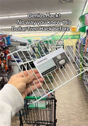 Ultimate Dollar Tree Kitchen Organization Hacks