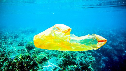 According to our briefing on improving the ocean, by 2050 the sea could contain more plastic by weight than fish. On World Oceans Day actor Adrian Grenier, and young entrepreneur Boyan Slat, look for solutions to the problem | The Economist