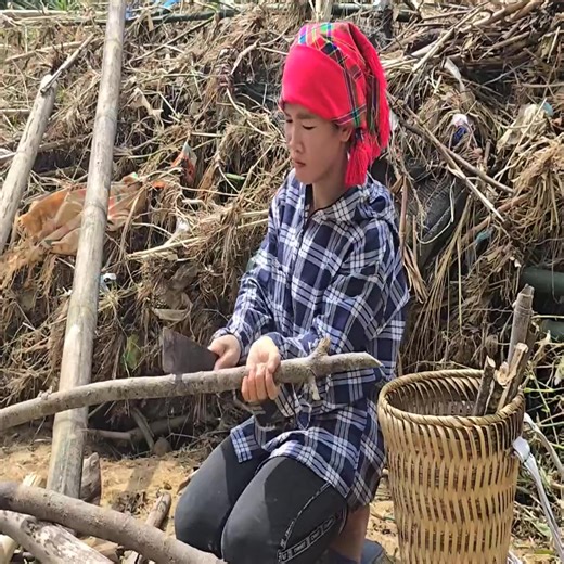 Ly Tieu Mai was broken into by a thief, luckily she was helped by a kind man. Life of a single mother in Vietnam. Daily life of a single mother. Single mother cannot give birth to a son. Single mother is kicked out of the house. Full video of single mother building a bamboo house. Full video about single mother. Single mother has a miserable life. Real single mother. Single mother builds a new life. Single mother story. 👉Subtitles: Click the gear button 👉 Subtitles/CC to choose your language. 