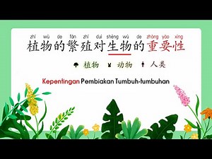 三年级科学：植物的繁殖对生物的重要性（双语讲解Dwibahasa）Sains Tahun 3 SJKC