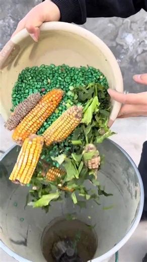 Feed Pellets Making Machine for Sustainable Agriculture