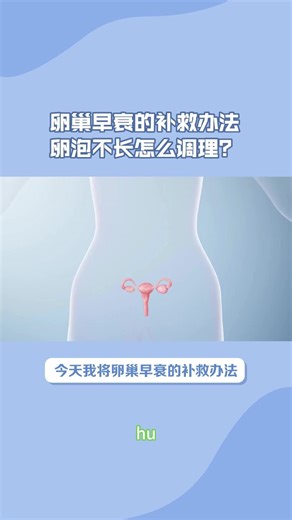 卵巢早衰的补救办法：怎么治疗？卵泡不长怎么调理？
