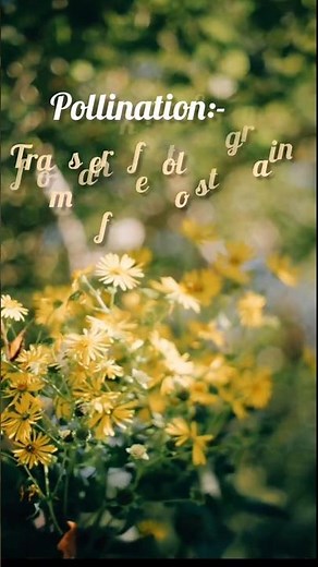 SELF - POLLINATION#shortsfeed #study #flowers