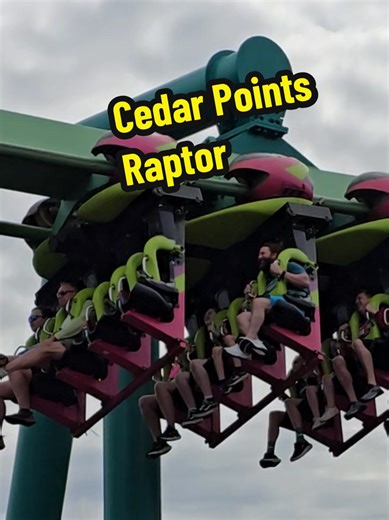 Multiverse of Mcfly on TikTok