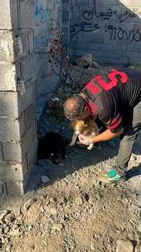 #youtube #trending #viral #explore #music #funny #newvideo #vlog #entertainment #creator #dog