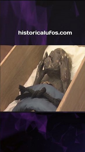 Japan’s Mermaid Mummies: Ancient Hoax or Forgotten Truth?