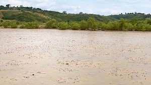 17 reactions | Discover the fascinating world of fiddler crabs, found in the swamps and tidal flats of Kilifi Creek, Kenya. With their vibrant colors and unique asymmetrical claws, these creatures are known for their courtship dances and distinctive regenerative abilities. Aside from their peculiar features, experts say they are good for the swampy environment since the burrows they dig aerate the soil. | CGTN Africa | Facebook