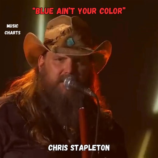 Chris Stapleton – “Blue Ain’t Your Color” 🎶 What an incredible talent this man has. That voice, that soul—everything he sings just feels right. Watching him perform this beautiful song of Keith’s was pure class. And seeing Keith and Nicole there that night, completely captivated, made the moment even more special. One of those performances that never gets old. | Music Charts