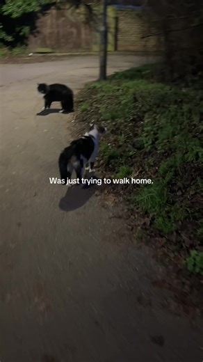 GRACE. | Artist/Music Addict (@gracemeltongraphics)’s videos with original sound - Kyle