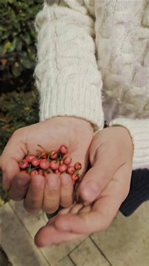 What is this? I don't know either😀