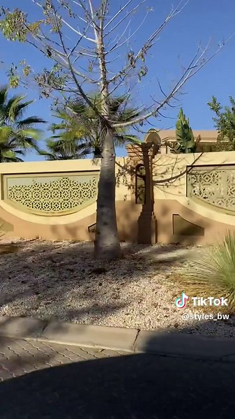 Exploring a Luxurious Mansion in Gaborone