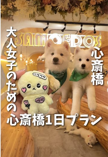 大阪心斎橋の最強1日プラン！5000円で楽しむ方法