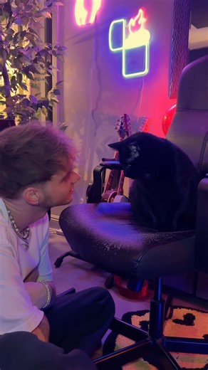 Corbyn Besson on Instagram: "just let me love you "