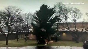 Watch lightning bolt shatter entire tree in seconds