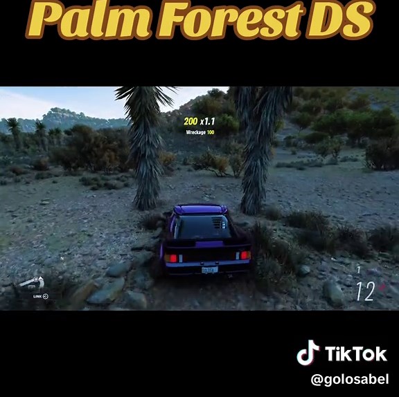 Palm Forest DS Fh5 Hoonigan RS 200 Tune Code 183 841 989 #forza5 #forzahorizon5 #carvideos #tiktokcar #forza