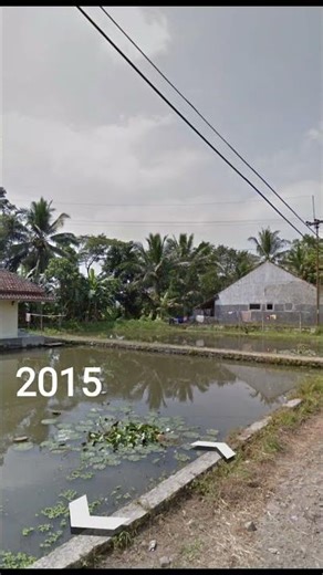 Evolution 2015-2026 #evolution #viral #maps