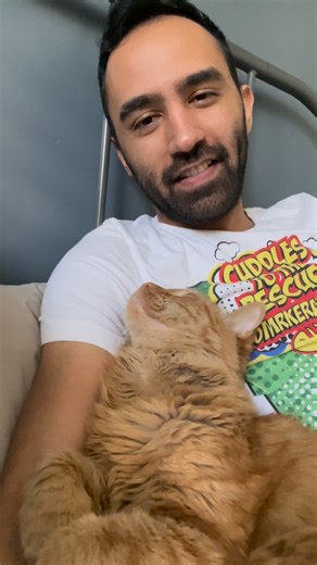 Javie & Mr. Kermit on Instagram: "Still celebrating ten years of Kermit. Here’s where our story began 🥹 #catdad #ragdollcat #orangecat #catadoption #catlovers"