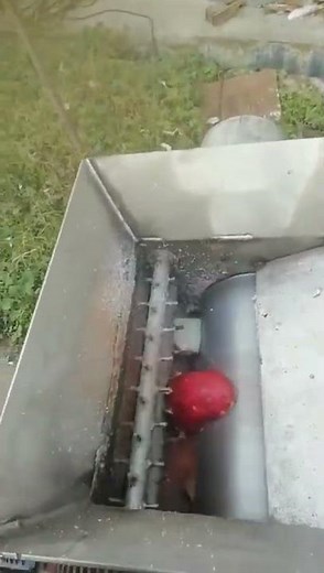 How to crush cassava/potato/sweet potato?- Cassava grating machine