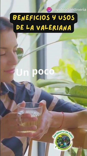 Benefits and Uses of Valerian