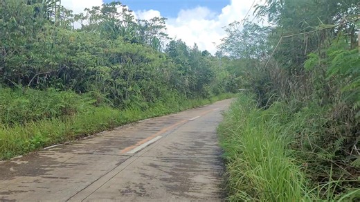 Harapitla magbunggoay single ngan top down 'kay nahisambud an wire dida han motor nga single ''nahingangadi na hira han usa nga line han kalsada '''natarap iton nga wire 'nasamad pah an tiil 'kay nahibagnos man an wire dida han iya panit'' digad dakoh''' piro Naka pills gihap'' taga brgy palanas ini nga kabataan'' harani gudlah hirah matumbah Ngan nabunggo pah han top down.. HAGTAAS KUNTA INI NGA MGA WIRE PARA DIRI NASASABUD HIT MGA DAGKO NGA MANGA SARAKYAN '' Kay oras na uutod diri niyo largo n