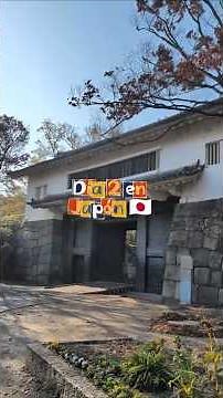 What to do in Osaka? A full day itinerary